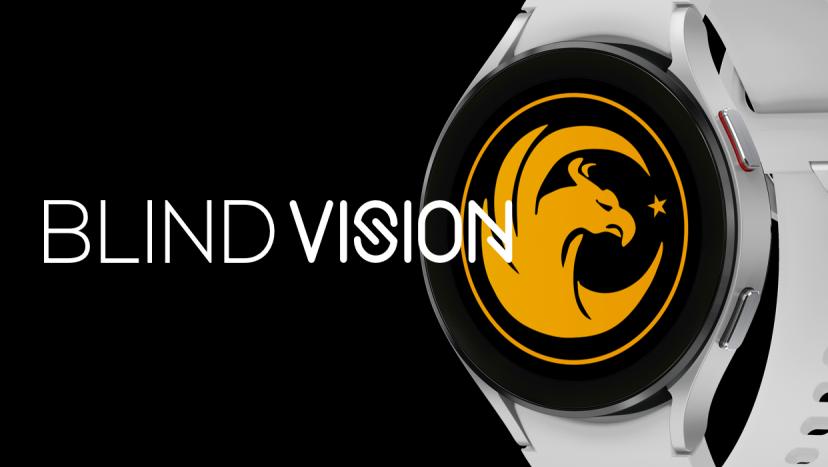 BlindVision